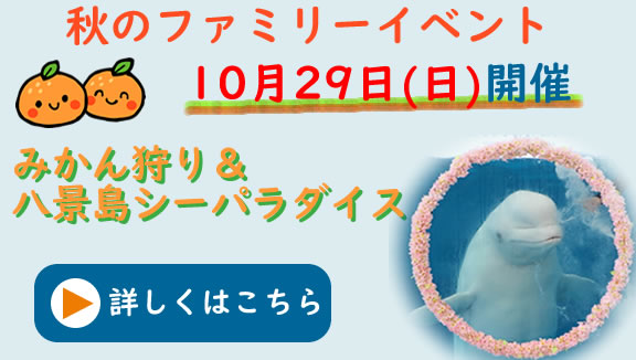 FLC秋のイベント