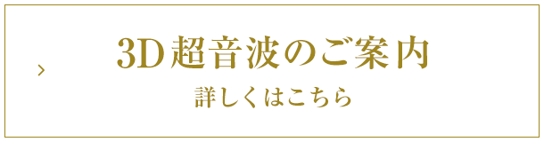 3D超音波のご案内 詳しくはこちら