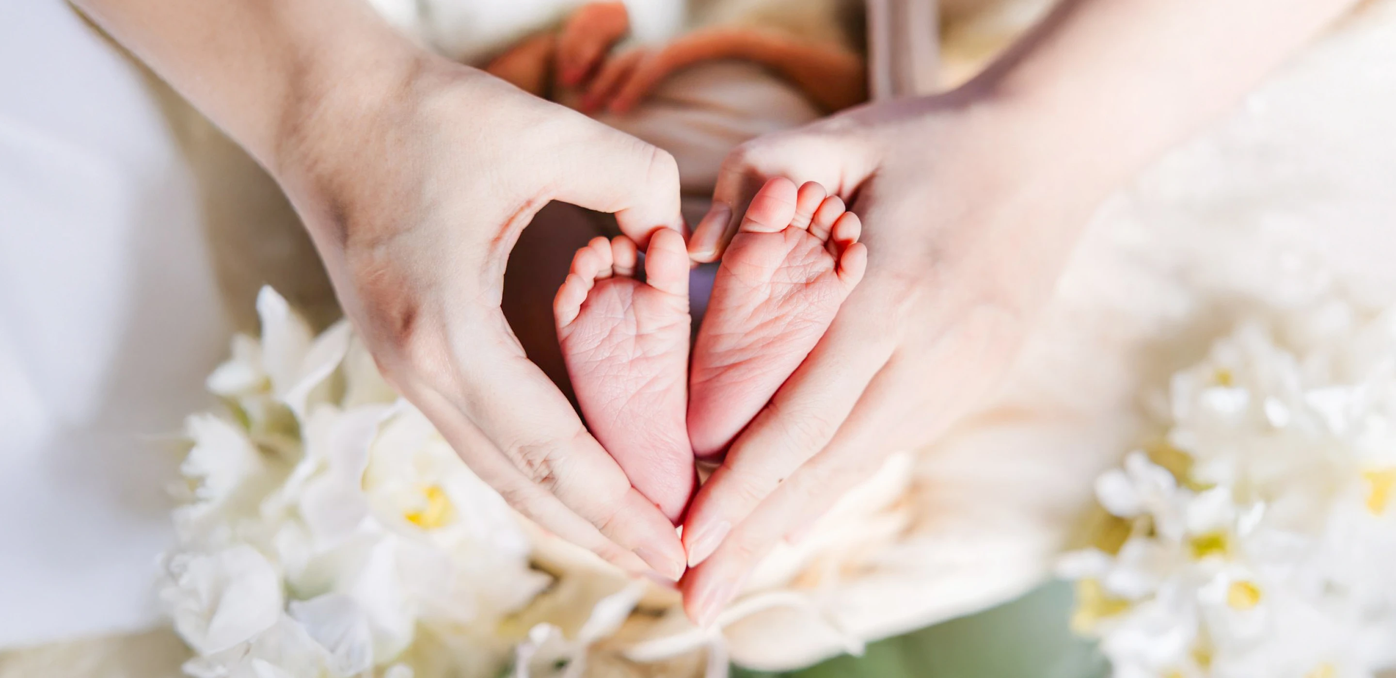 新横浜母と子の病院 院内風景