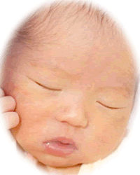 赤ちゃんの写真