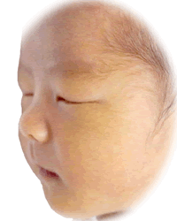 赤ちゃんの写真