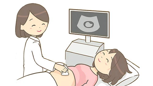 エコー中の妊婦のイラスト